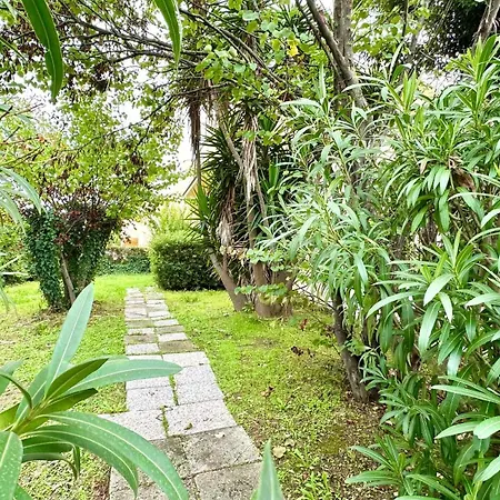 Marcelli, Trilocale Con Giardino A 200mt Dal Mare - M114 Daire